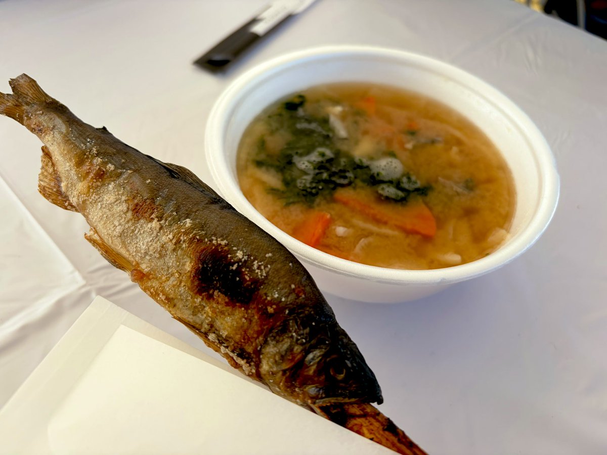 it921112's tweet image. 浜松城公園でやっている家康公祭2025に行ってきました🏯
家康公に縁のある各市町や飲食店のブースがあり、活気がありました🙌
夕焼けルビーや鰻の串カツ、鮎の塩焼きなどいろいろなグルメを満喫できて最高でした👍
浜松城公園のイベントはベビーカーで移動しやすいので助かります😭笑