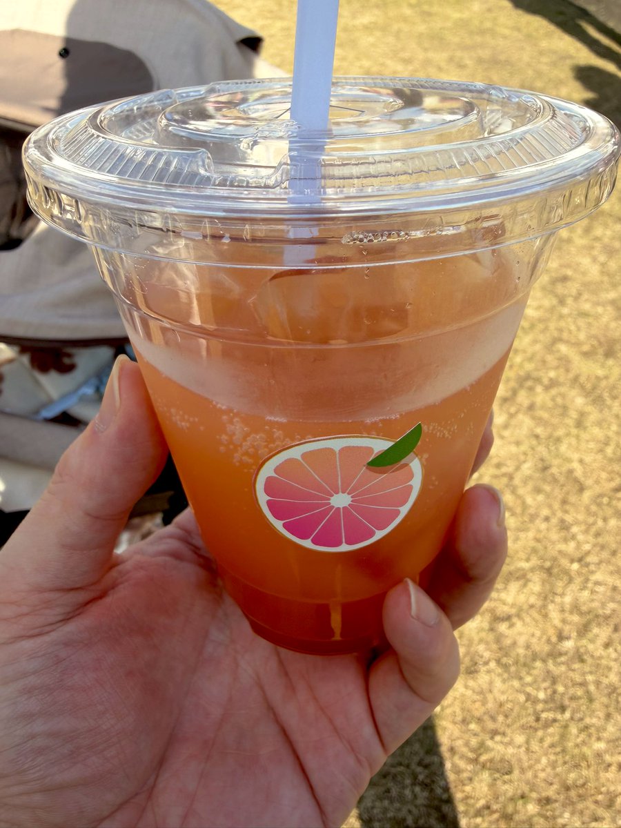 it921112's tweet image. 浜松城公園でやっている家康公祭2025に行ってきました🏯
家康公に縁のある各市町や飲食店のブースがあり、活気がありました🙌
夕焼けルビーや鰻の串カツ、鮎の塩焼きなどいろいろなグルメを満喫できて最高でした👍
浜松城公園のイベントはベビーカーで移動しやすいので助かります😭笑