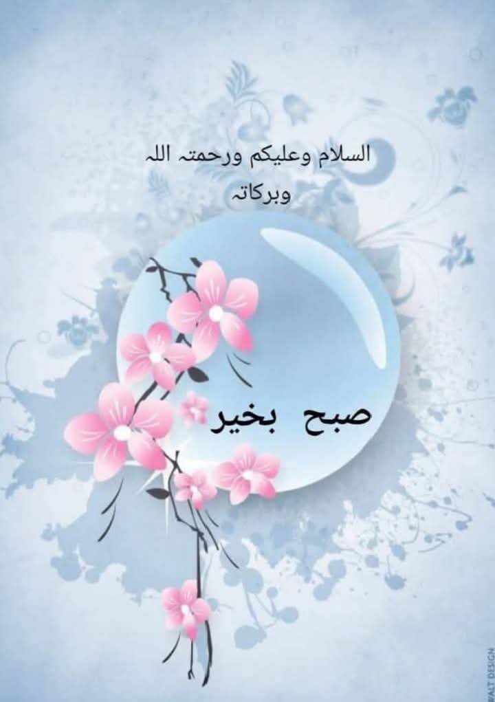 itxSalehaa's tweet image. Asslam-o-Aliakum wrwb 💞 
Good morning — May our faith remain strong today.

May Allah make this day a blessed and fruitful one for all of us.
Ameen, Thumma Ameen.