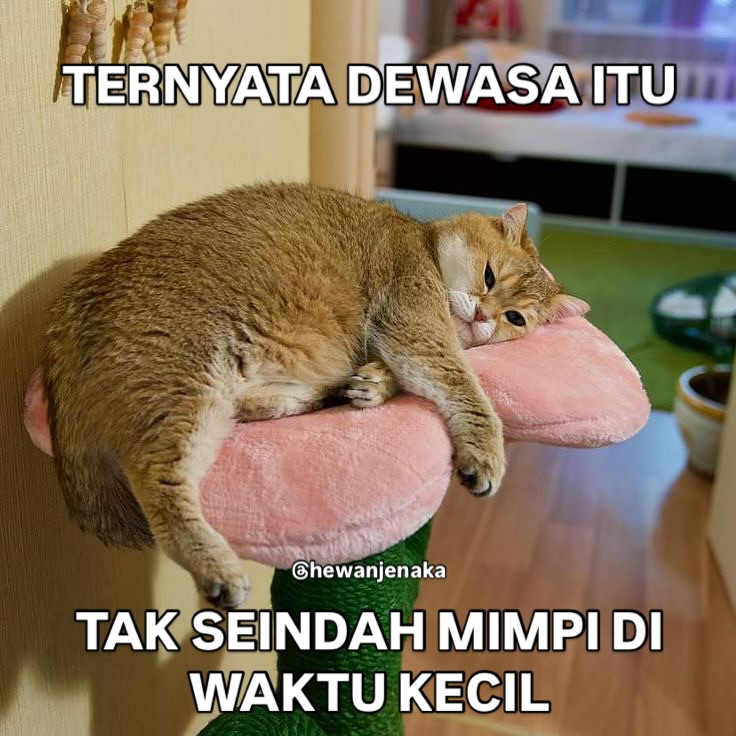 pikacu (@rafikarchmwt) on Twitter photo 