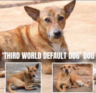 real_hotaru's tweet image. 