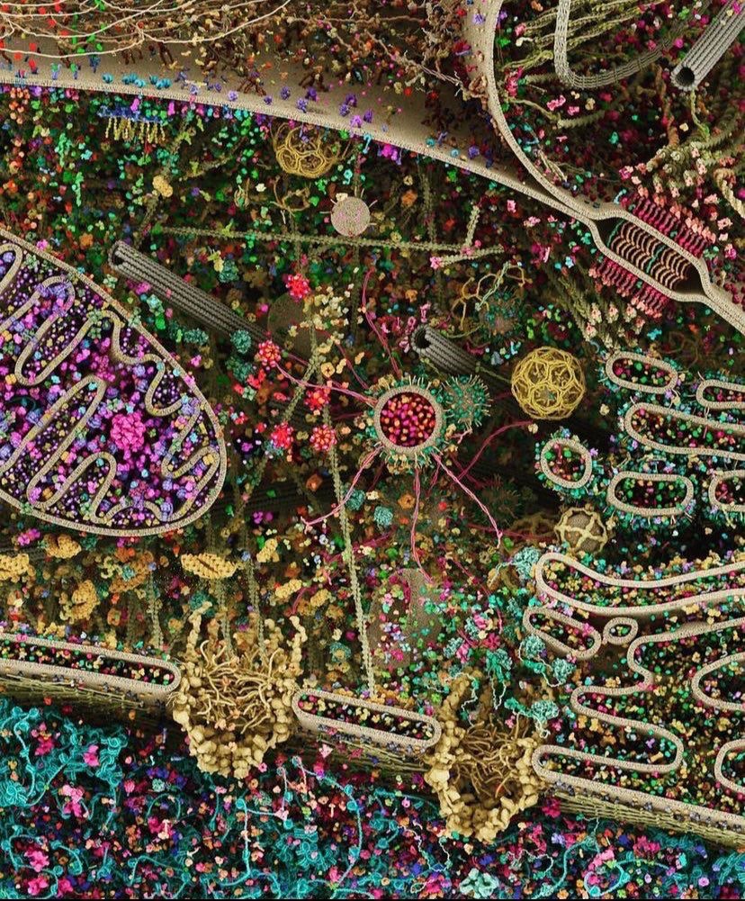 darwintojesus's tweet image. There are 10^80 particles in the observable universe.

The odds of getting just ONE functional protein by chance are about 1 in 10^77.  

There are at least 400 essential proteins in the simplest living cell.

I don’t have enough faith to be an atheist.