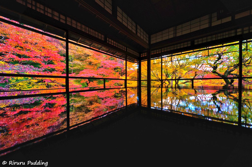 RiruruPudding's tweet image. 京都・瑠璃光院🍁𓂃 𓈒𓏸◌🍁
#京都 #瑠璃光院