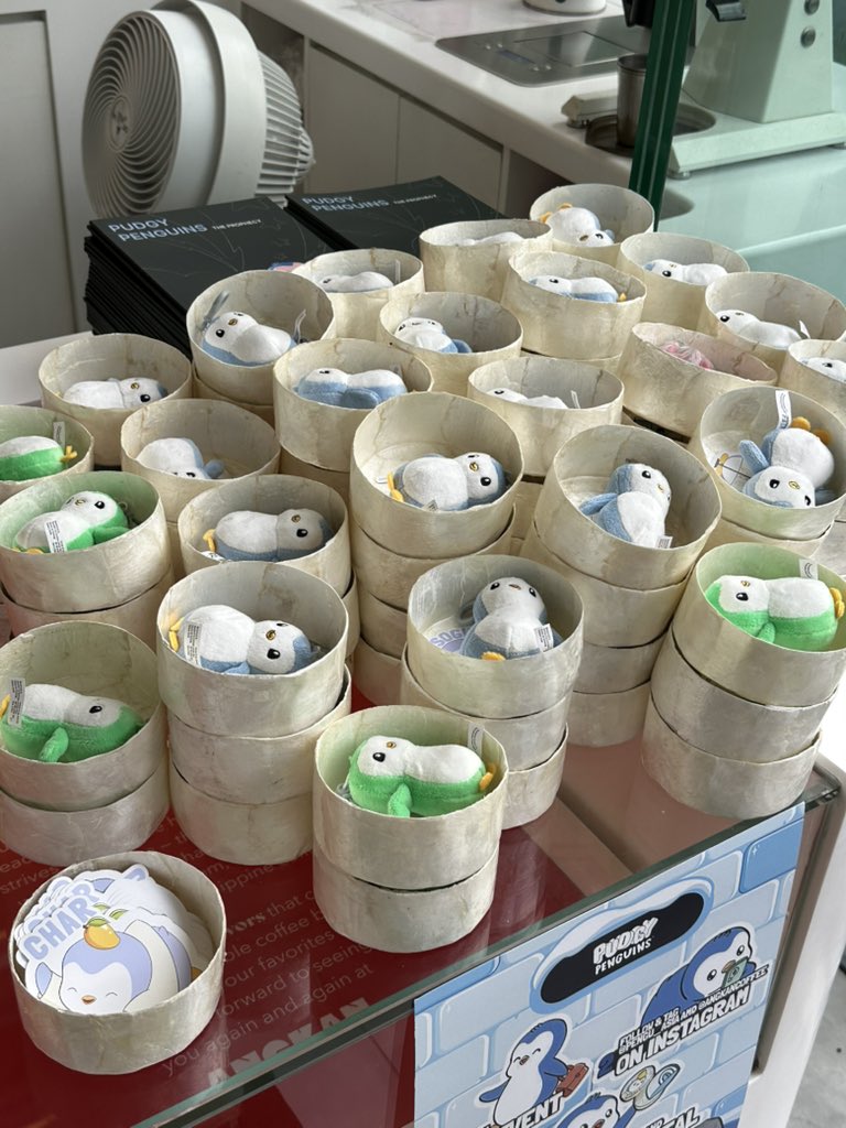 Svetlana 🧜🏻♀️ tweet media