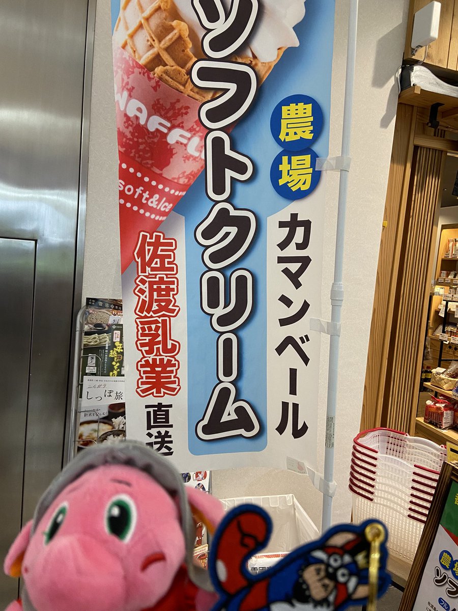 hiyokoenaga's tweet image. 写真下手くそ選手権〜🤣ソフトクリームメインになってるとか…というか、有楽町交通会館のわしたショップに琉球グッズ売ってるとか😳思わずゴーディーさん買っちゃったよ😅ちなみにわしたの隣の新潟のソフトクリーム美味です🍦
#東京交通会館 #千葉ジェッツ #RyukyuKings