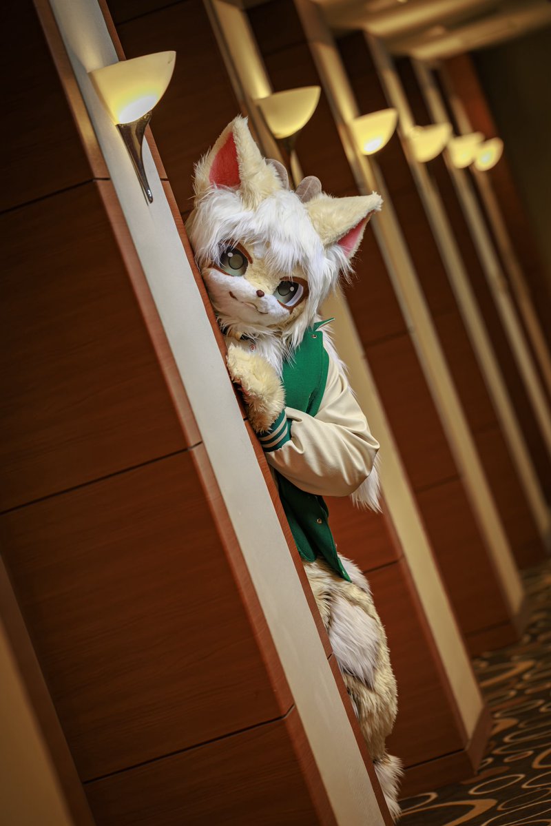 눈치….👀

📸:<a href="/ROK_Overkill_JP/">ROK_Overkill_JP</a> 
#FursuitEveryday