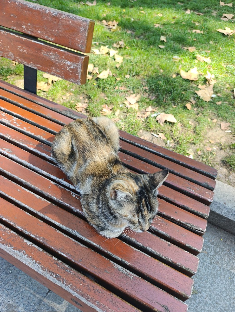 mlsdu12's tweet image. Şunun tatlılığına bakın 🥹💖