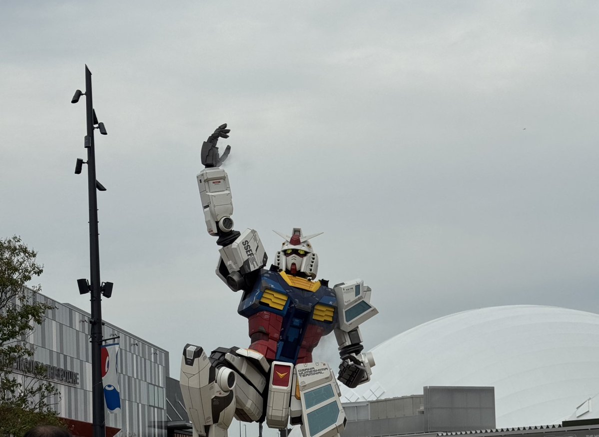 Mike_Chatora3's tweet image. プチ茶トラの向こうに何が見えるか
わかるかニャ？

ガンダムの骨ニャ

3枚目は万博開催中の姿ニャ

#でぶねこ #大阪・関西万博 
#EXPO2025Forever