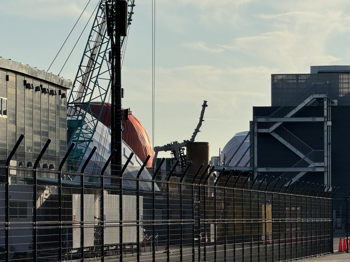 Mike_Chatora3's tweet image. プチ茶トラの向こうに何が見えるか
わかるかニャ？

ガンダムの骨ニャ

3枚目は万博開催中の姿ニャ

#でぶねこ #大阪・関西万博 
#EXPO2025Forever