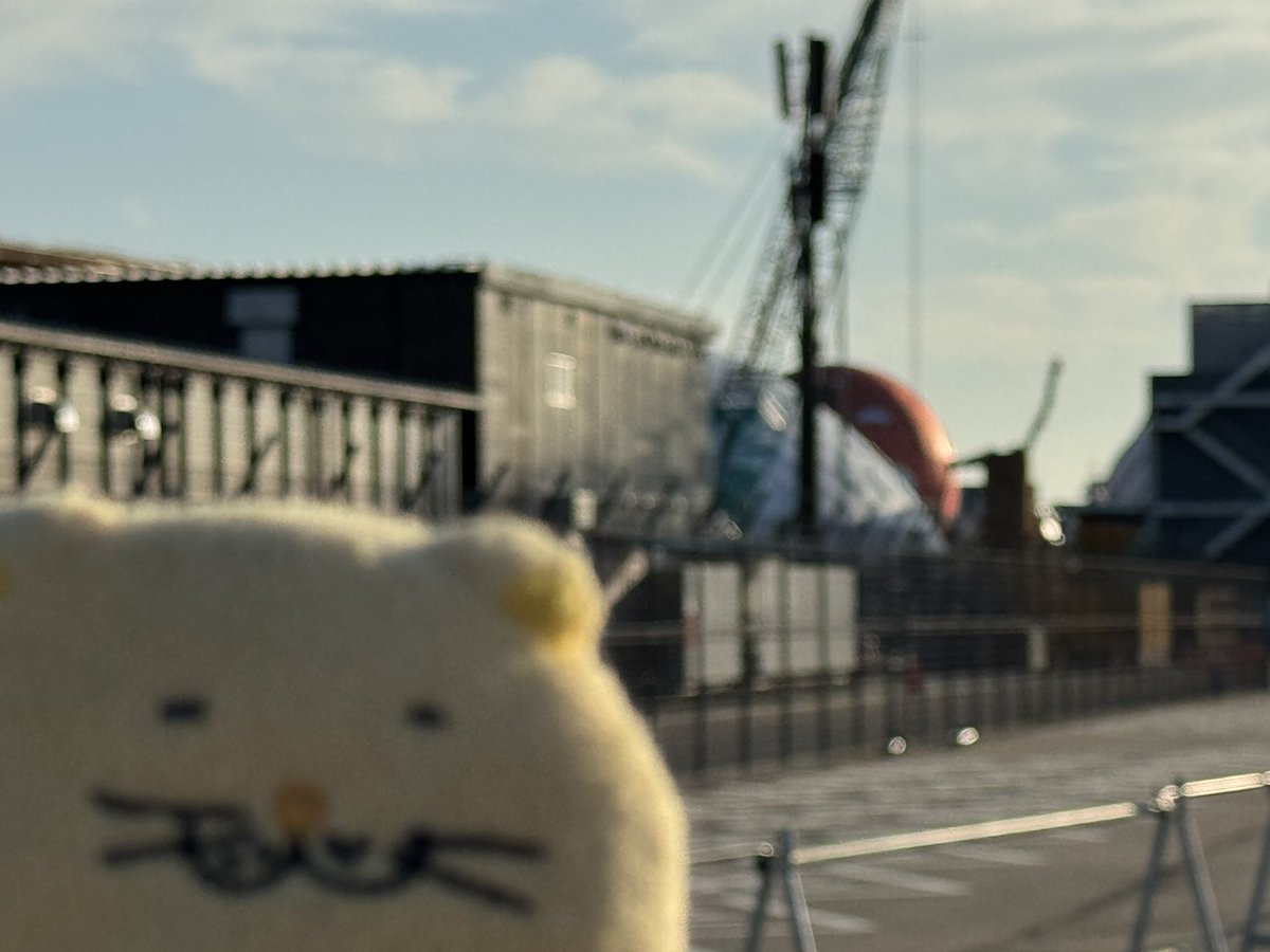 Mike_Chatora3's tweet image. プチ茶トラの向こうに何が見えるか
わかるかニャ？

ガンダムの骨ニャ

3枚目は万博開催中の姿ニャ

#でぶねこ #大阪・関西万博 
#EXPO2025Forever