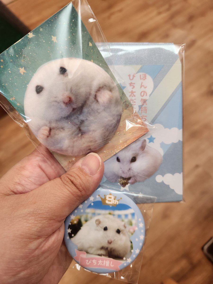 はむ@もっと！はむチラ長屋ch. 11/22ローデンツ東京【G15