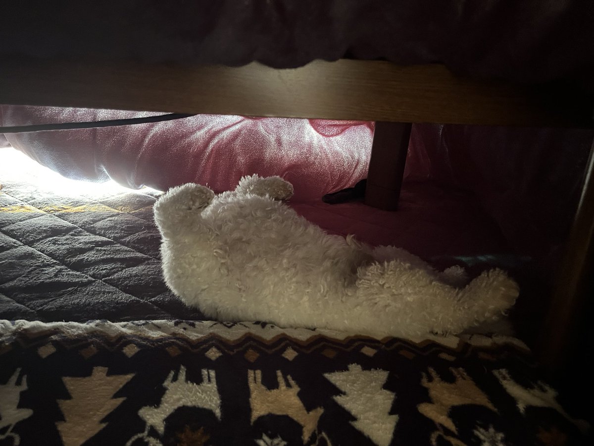 hogarakanainu's tweet image. 