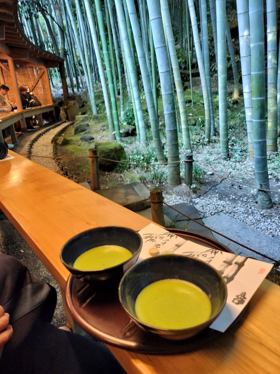 attakaiko's tweet photo. ちょっと久しぶりの鎌倉

大好きな報国寺からの…
聖地巡礼
「カフェナガクラ」に居ます

#サカノシタ 
#最後から二番目の恋 https://t.co/OAGNZt9PPw