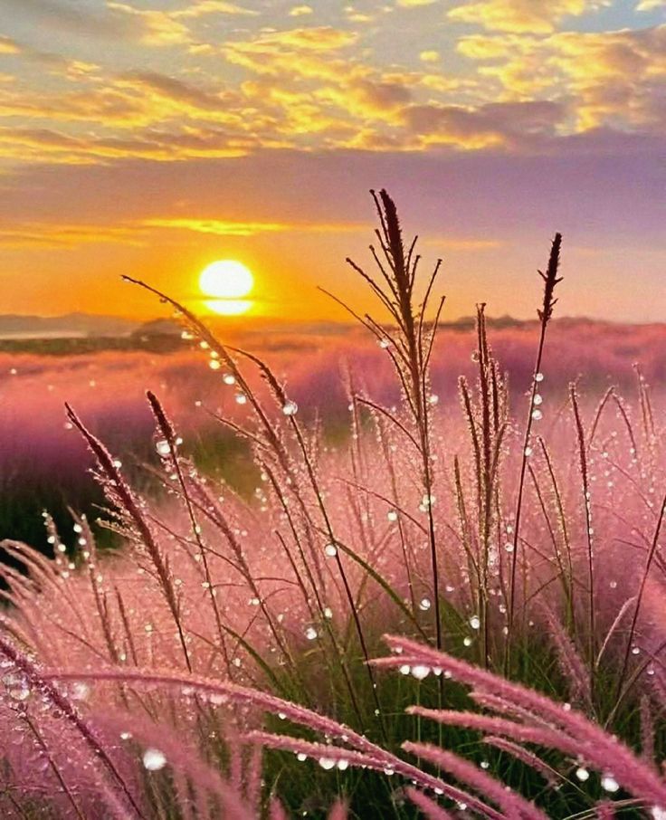 the_wall_new1's tweet image. ^^☕️🍫🦋🍃
&quot; You&apos;re welcome my dear, I wish you a very beautiful day, may all the liveliness, 7 colors and 7 sounds of light be with you.&quot;
^^🙏🙏😊😊