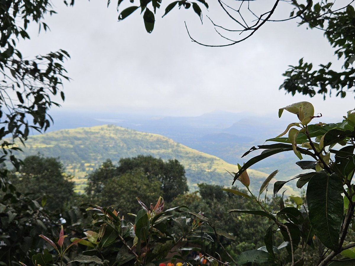 Prem Shah tweet media