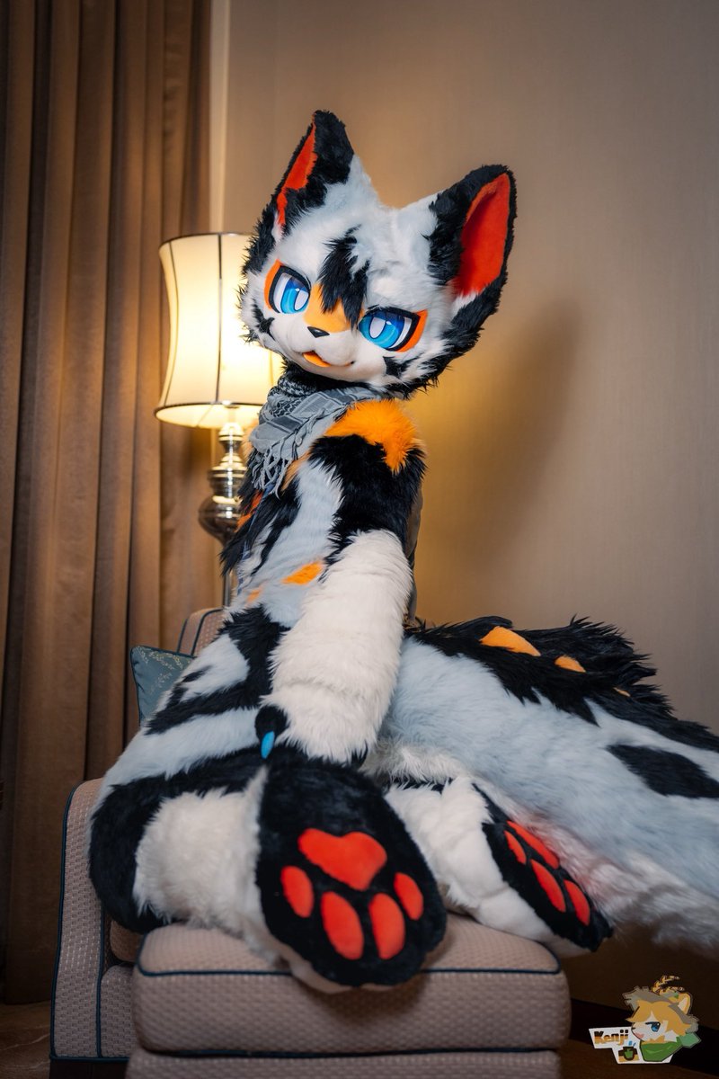 Jeffrey86334455's tweet image. #FursuitFriday
新鲜的毛五
📷： @Kenji0629