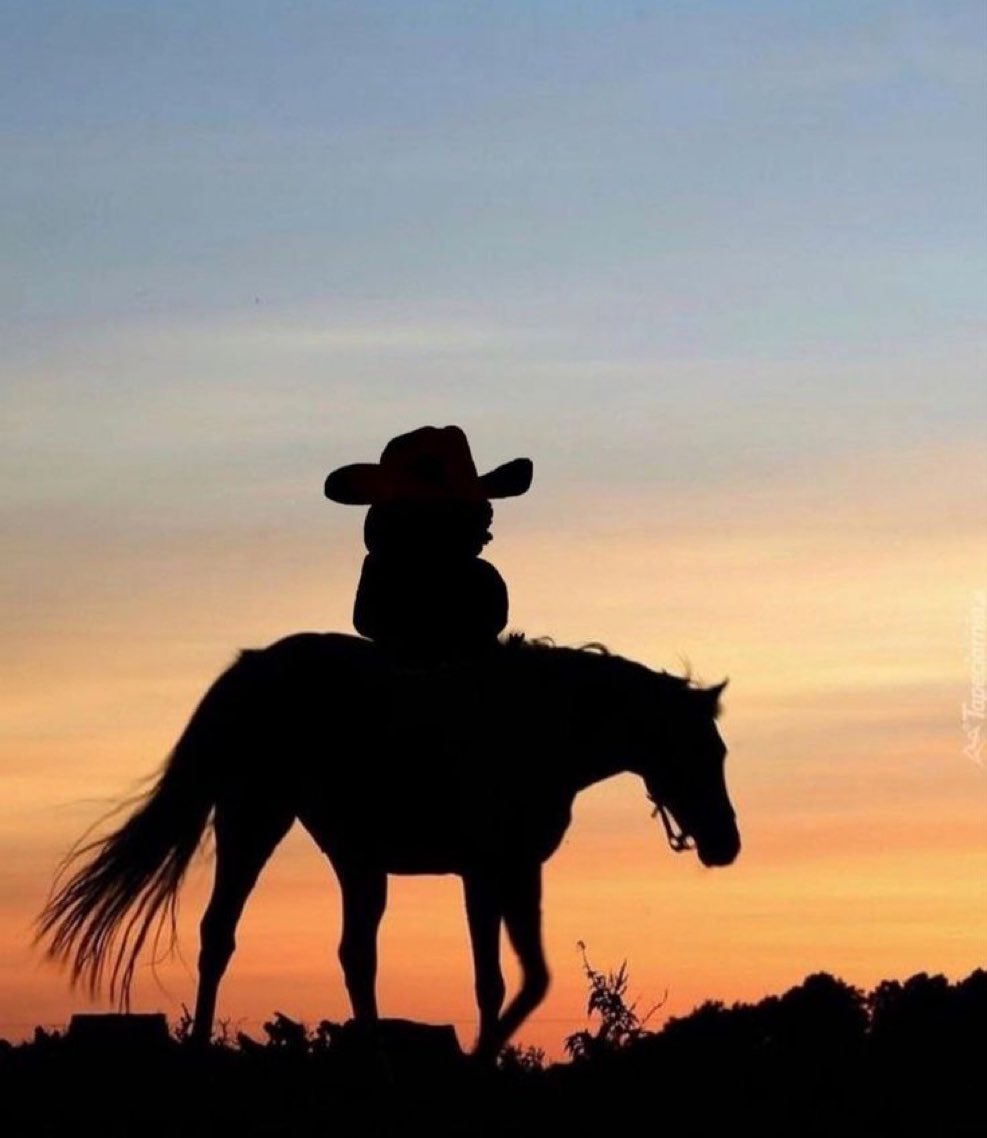 small_robot01's tweet image. Gm CT

It&apos;s been a really busy week.…