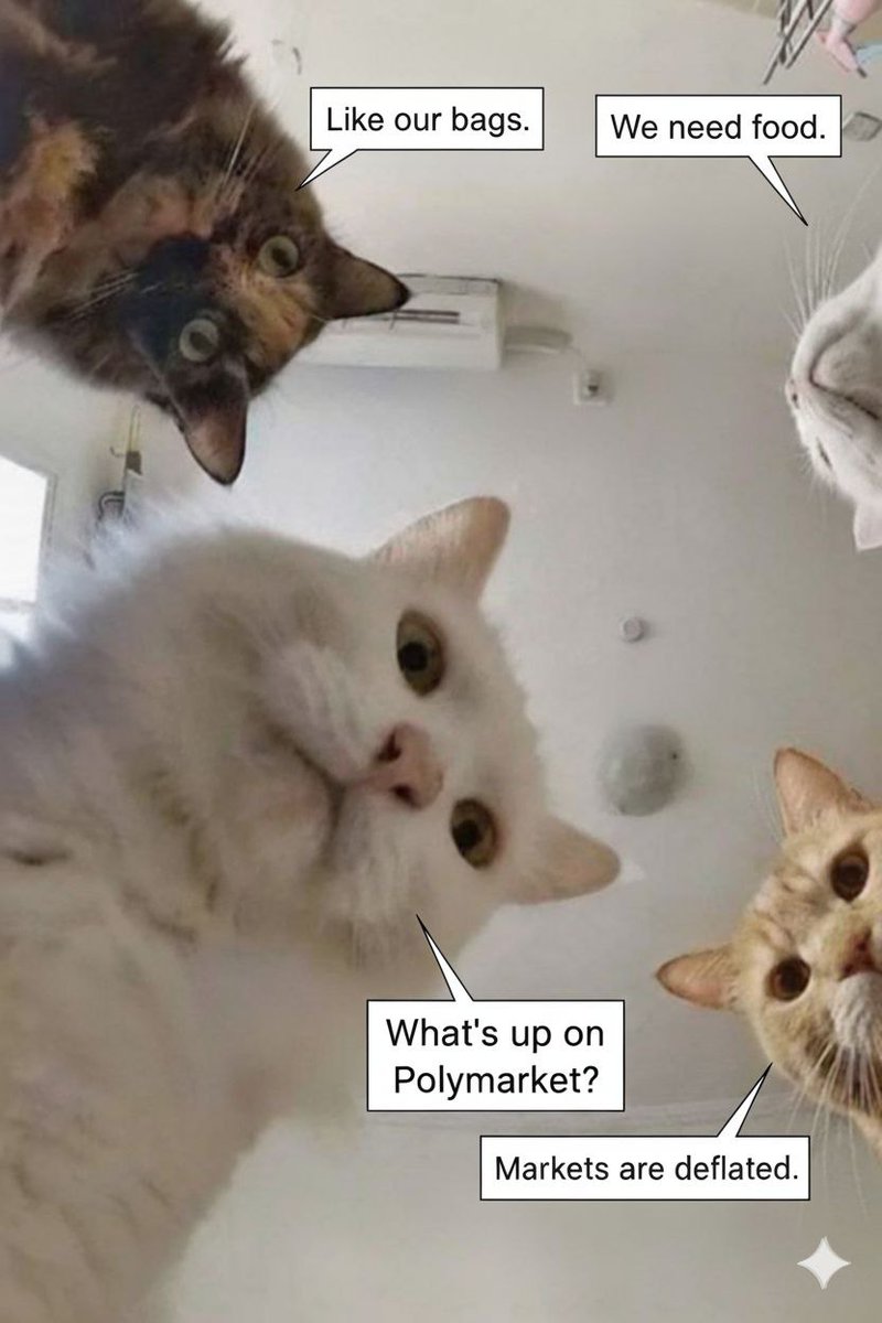 BitKitik's tweet image. People checking new @Polymarket markets like 😳🐱🐱🐱
One minute: “Just scrolling casually…” 👀
Next minute: “Wait, are these the odds?!” 💸
And suddenly, you’re all in — Polymarket turns everyday browsing into full-on chaos 😂🔥