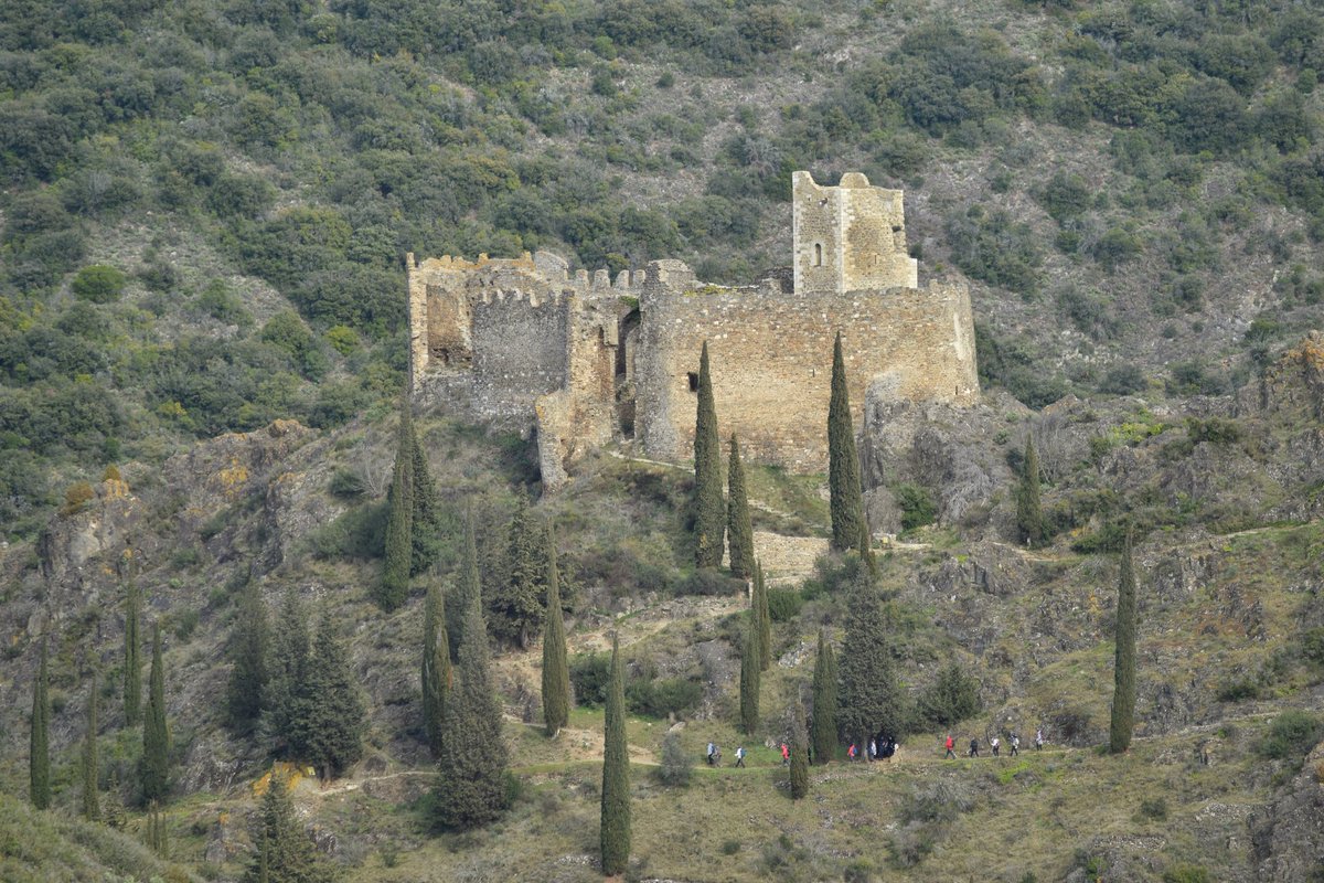 Balade_Sympa's tweet image. 👉 Les quatre châteaux de Lastours qui se dressent près de Carcassonne, dans l&apos;Aude 🏃👍#BaladeSympa #aude #occitanie #MagnifiqueFrance