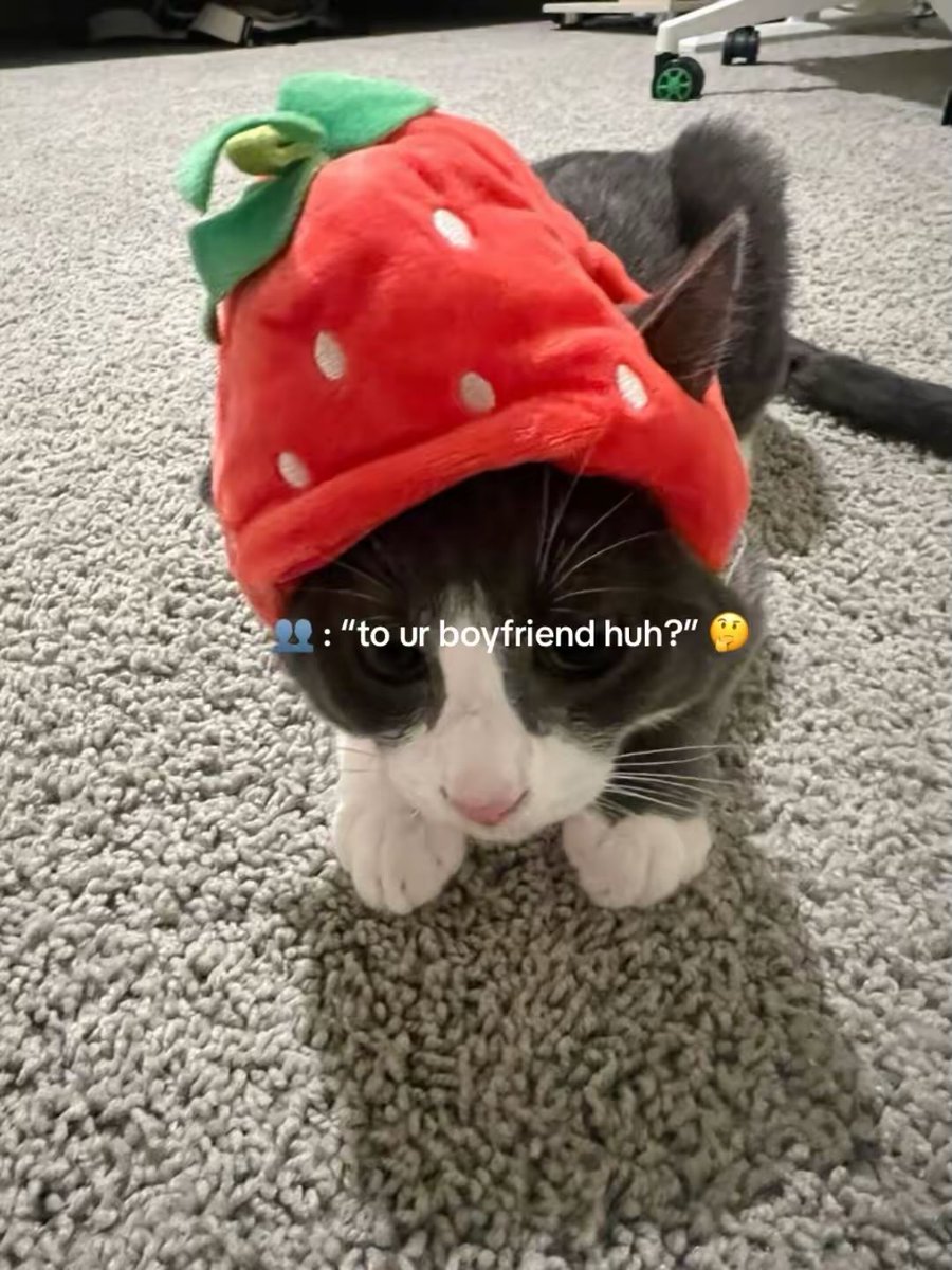 cheesecakesn's tweet image. pondphuwin few tweet au 

love—hate relationship extra clingy 3000g