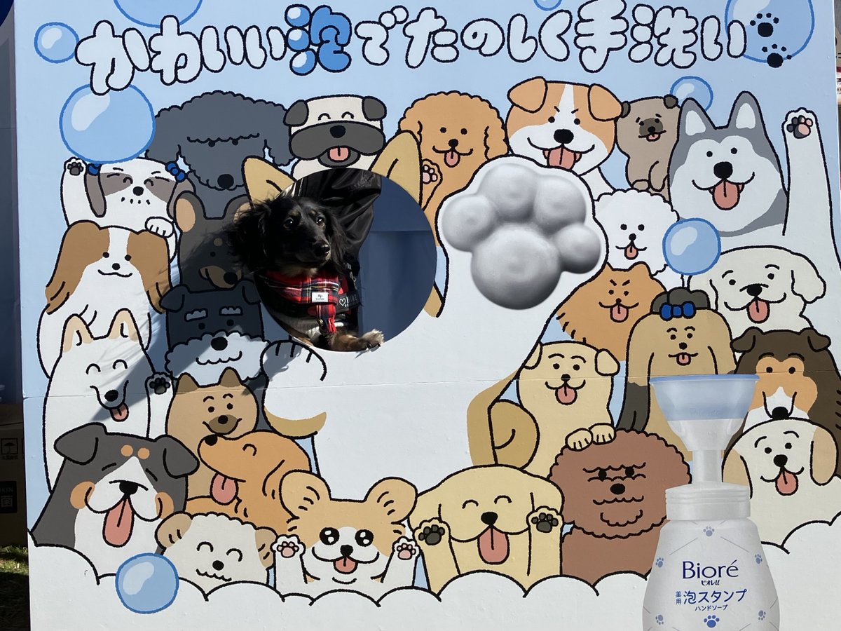 確認ページ♡わんこ＆レディパネル 確認ページ♡わんこ＆レディパネル