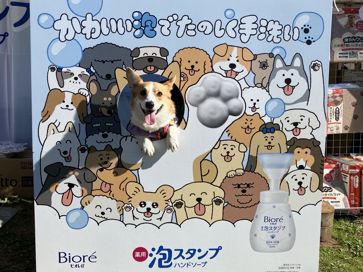 確認ページ♡わんこ＆レディパネル 確認ページ♡わんこ＆レディパネル