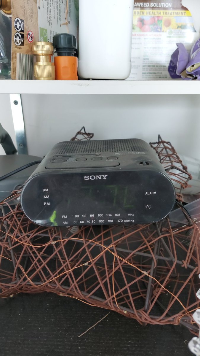 Julian Tuohy tweet media