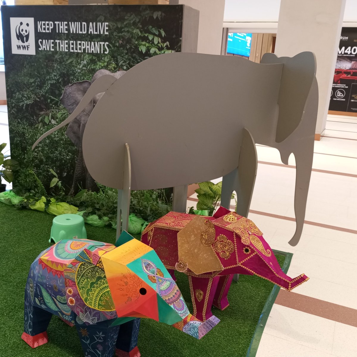 woadriene's tweet image. save animal by supporting @WWF through fund raising @trxmycity