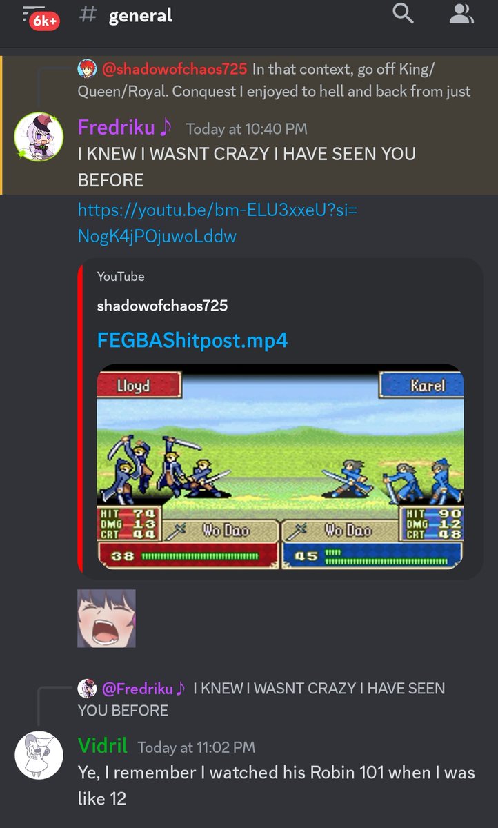 shadwofchaos725's tweet image. A FUCKING DISCORD FOR A FOX GIRL IN AN ANIME FIGHTER CAUSED A RESET.