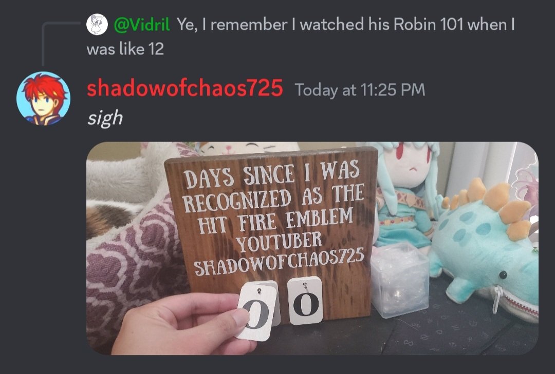 shadwofchaos725's tweet image. A FUCKING DISCORD FOR A FOX GIRL IN AN ANIME FIGHTER CAUSED A RESET.