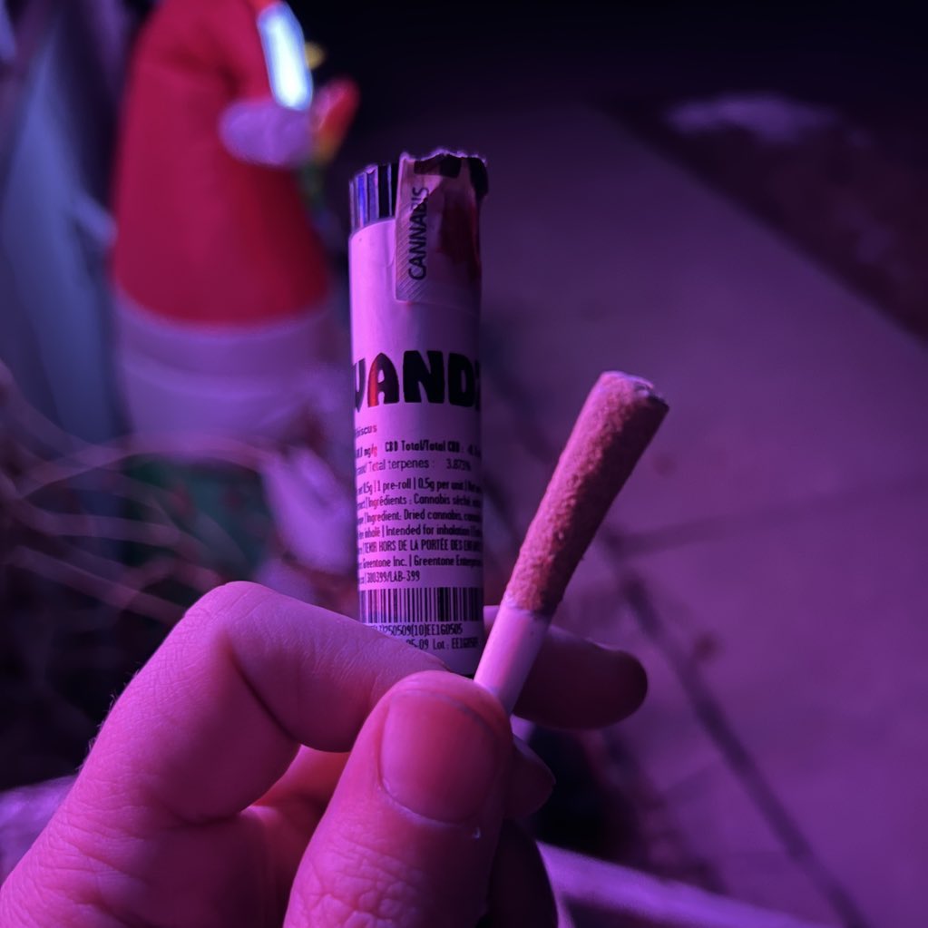 These itty bitty joints always make me laugh but with all the crap they put in the infused ones, they slap pretty hard