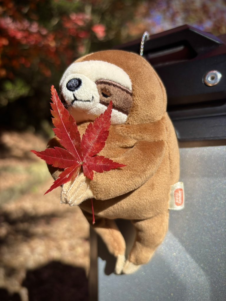 うずら　様 うずら (@uzuraAC) / Posts / X