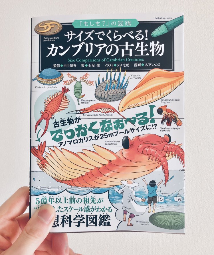 「もしも？」の図鑑 サイズでくらべる！カンブリアの古生物が発売となりました。監修:田中源吾さん、著者:土屋 健さん、イラスト:ツク之助さん、今回も漫画パートで参加させていただきました。よろしくお願いいたします！