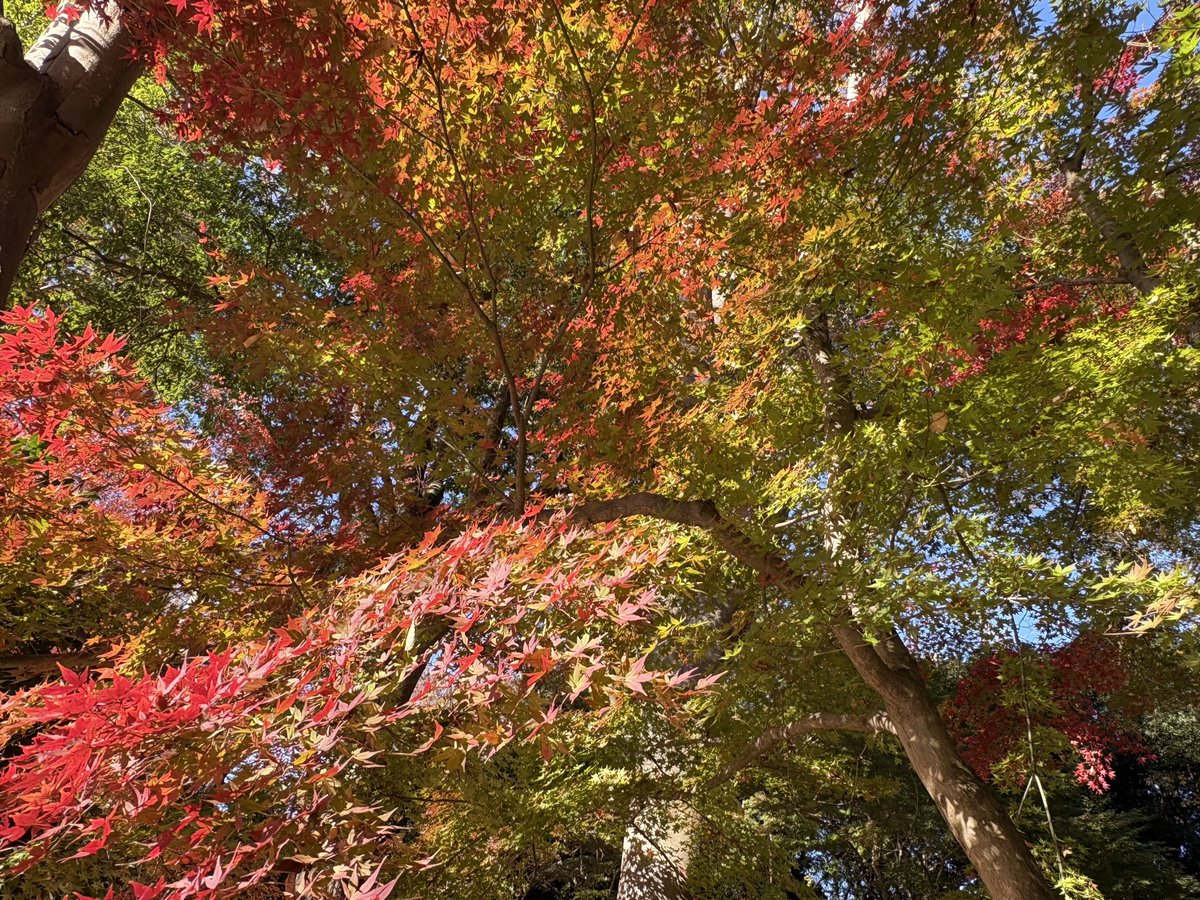 ぽにょぽにょ (@0310ponyO) / Posts / X