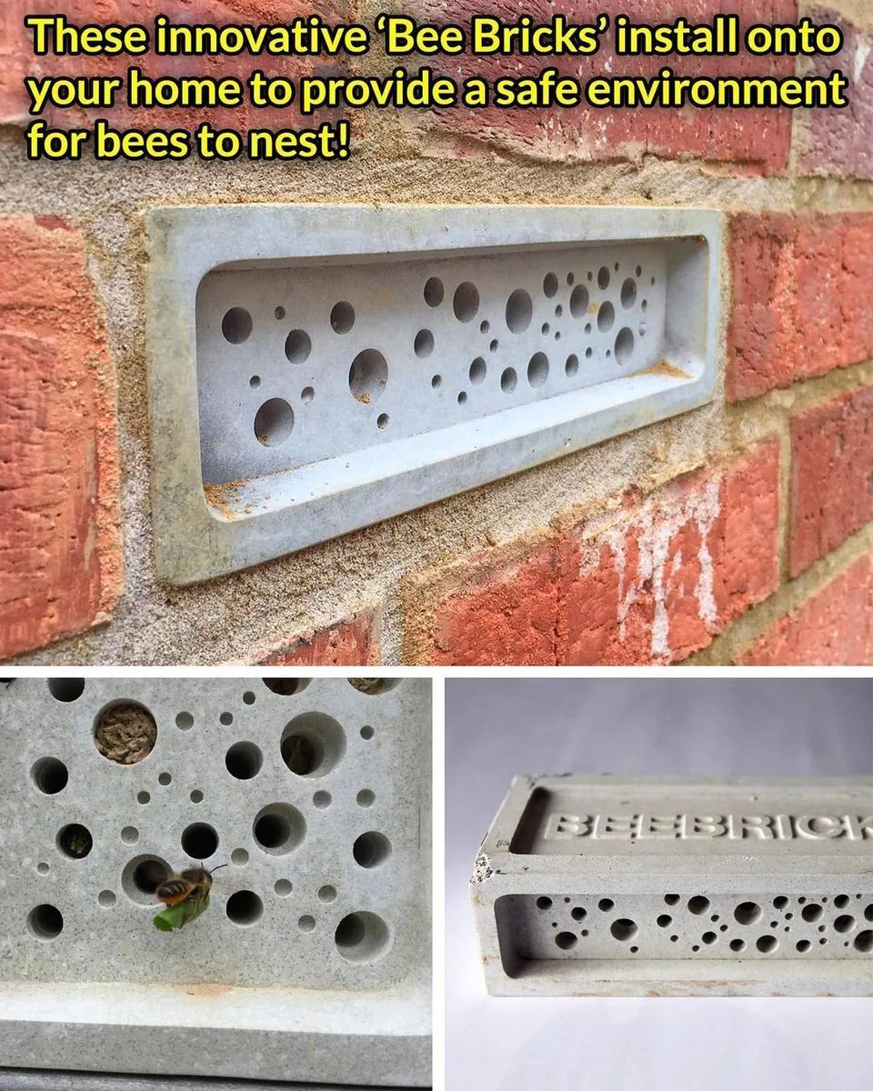 constructor_org's tweet image. 🐝 Concrete That Helps Bees Thrive!

#civilengineering #theconstructor #civilengineer #civilconstruction #beebrick #sustainableconstruction #ecofriendlydesign #greenbuilding #environmentalengineering 

Video/Audio Courtesy: Unknown
DM for credit or removal requests.