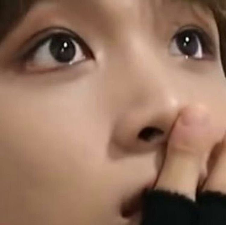 syeon0201's tweet image. 와 진짜 다 동글동글