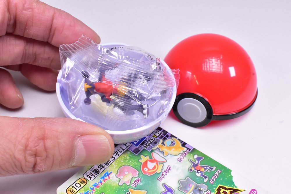 さめ出品 Gamchu【ガムチュ】 ニンゲンやめたい ✨新商品案内 2025年11月22日(土)✨／ ☑️ポケモンゲット