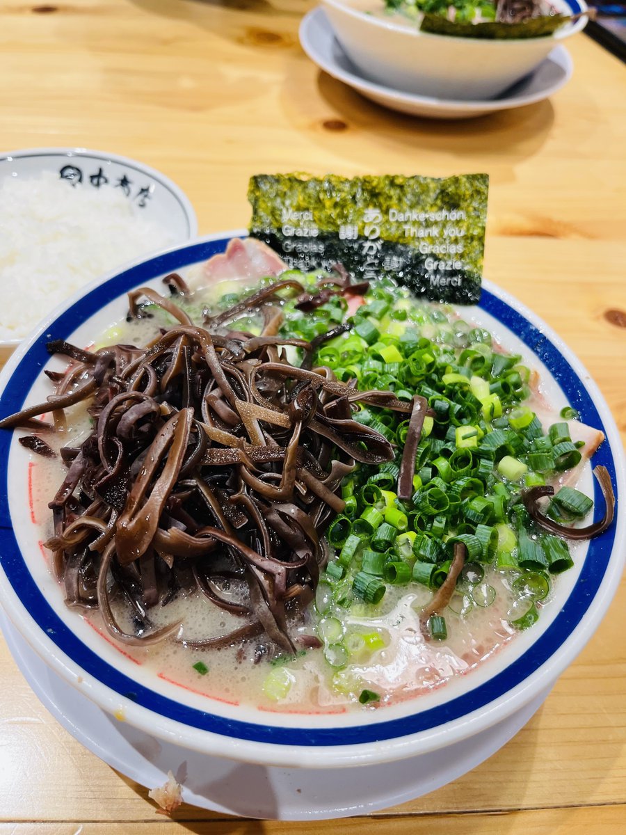 ライスはじめました。 サタケ マジックライス100g ドライカレー（28品目不使用）×20袋入り