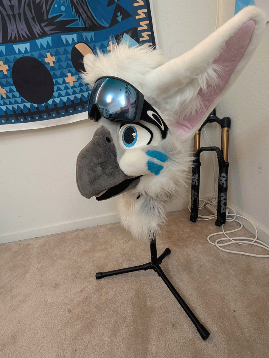 ThunderFennec's tweet image. DAMNNN!!!!!!!!!!!!!!!!!!!!!