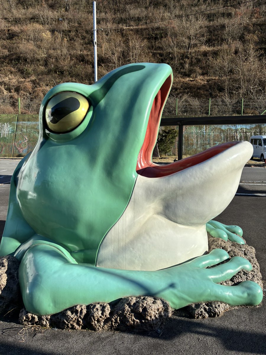 tomozu_onmusu's tweet image. 🐸