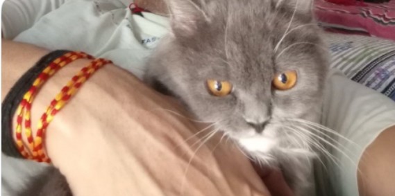 Name her whatever you last ate 💗

#SaturdayVibes #SunilkaShaniwar