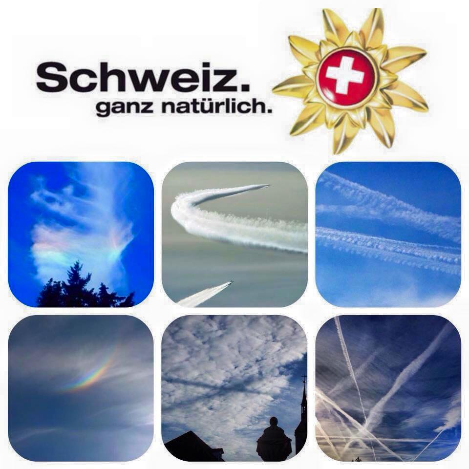 Daniel Gugger 888 tweet media