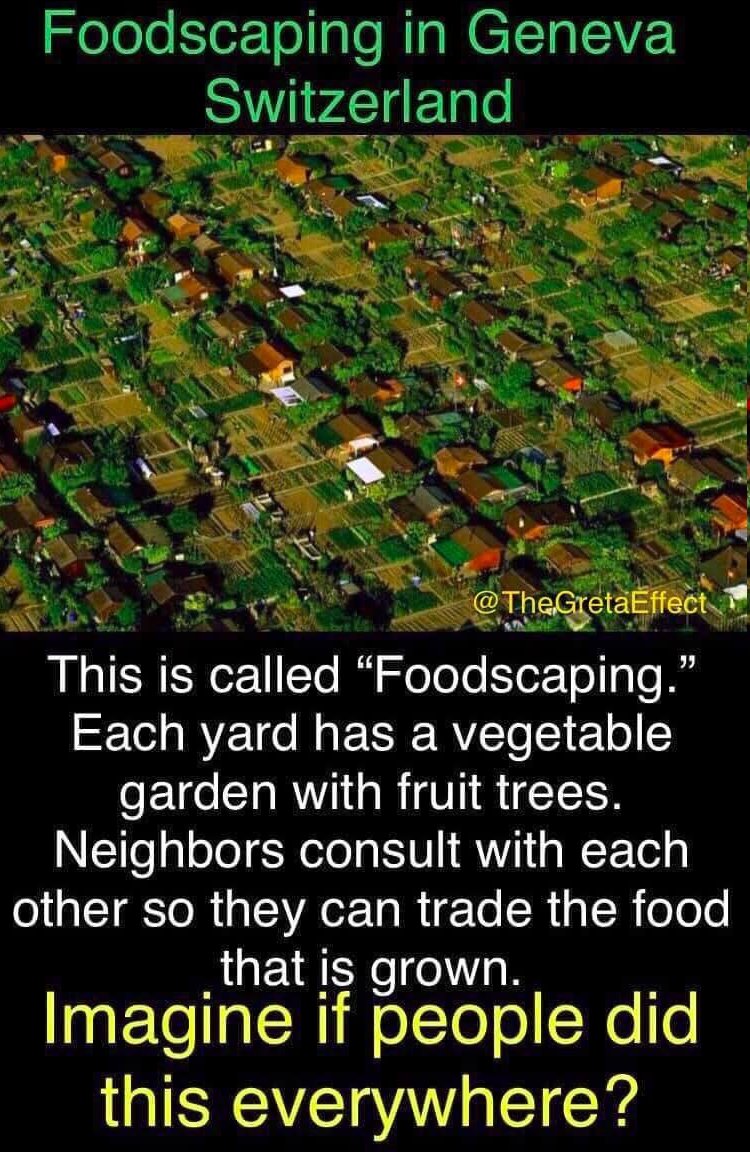 ‼️FOODSCAPING À GENÈVE, SUISSE‼️

"Cela s'appelle 'Foodscaping'. Chaque jardin possède un potager avec des arbres fruitiers. Les voisins se consultent entre eux pour pouvoir échanger les aliments cultivés. Imaginez si cela se faisait partout ?"

💛BONJOUR NOUVELLE TERRE... c'est