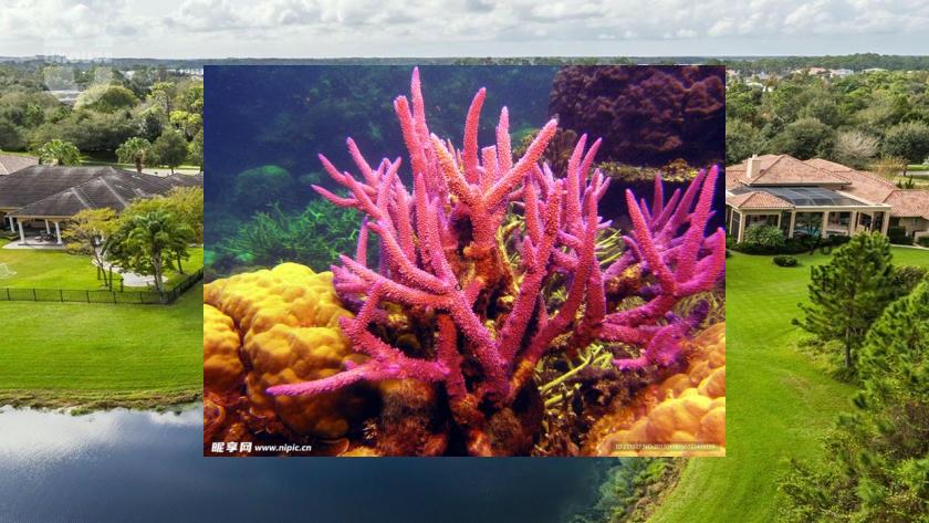 xusump__'s tweet image. 🛷Wind chimes, wind.🍛Rain cleanses the earth, making it fresh again.🚧