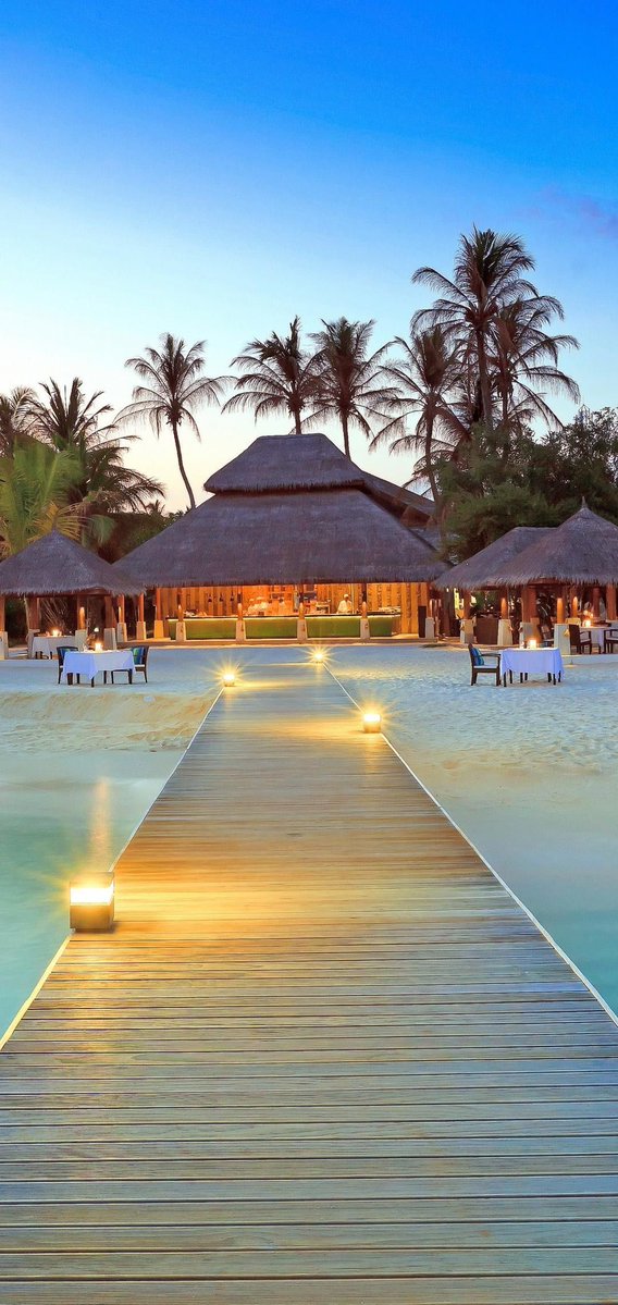 SeascapeNature's tweet image. 