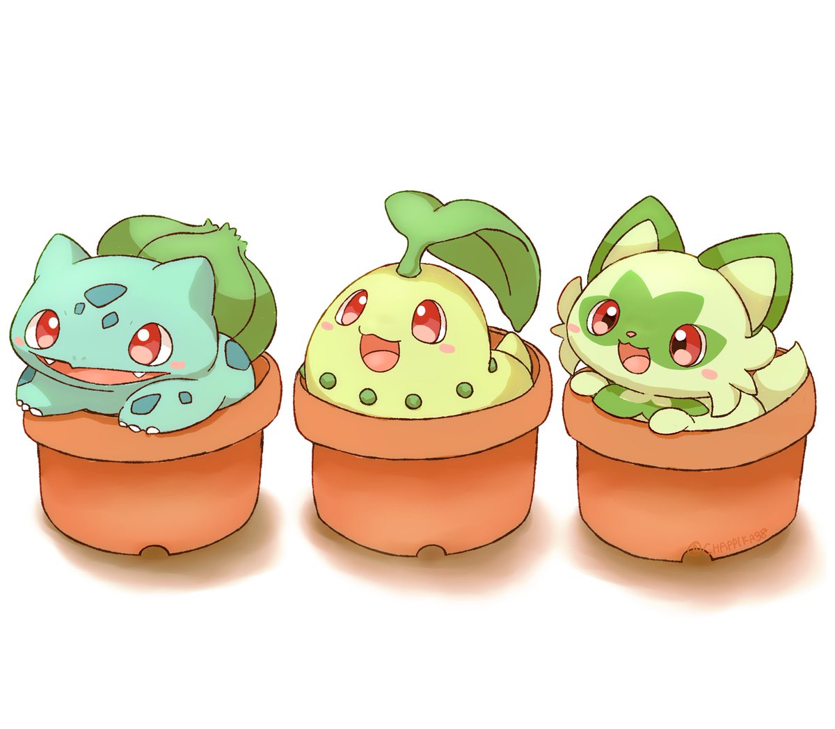 CHAPPIKA38's tweet image. そこに植木鉢に入った三匹のポケモンがおるじゃろ？