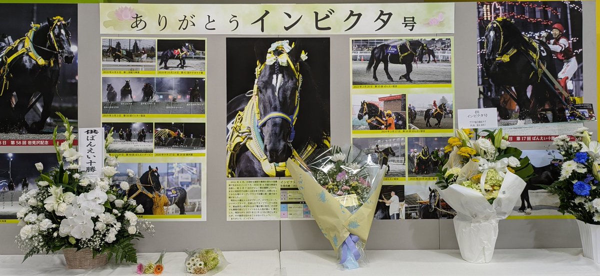AthenaIVC's tweet image. インビクタ号の献花台があります。
足を運んでいただけたらと思います。
本当に、男気の強い立派な馬でした。
真面目で、真っ直ぐで、人には媚びず。
病気もせず、いつも安定したレース。
黒光りするカッコいい馬でした。
2歳からずっとサポートできて、光栄でした。