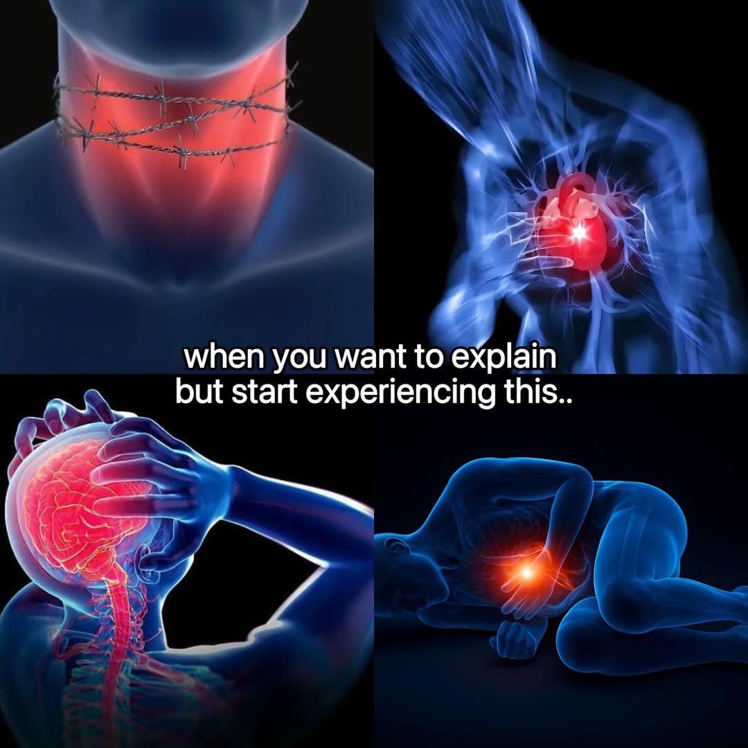 peacekful's tweet image. 