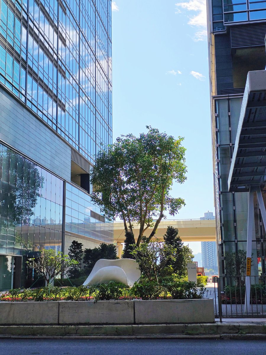 satodee1's tweet image. 🏙🔆