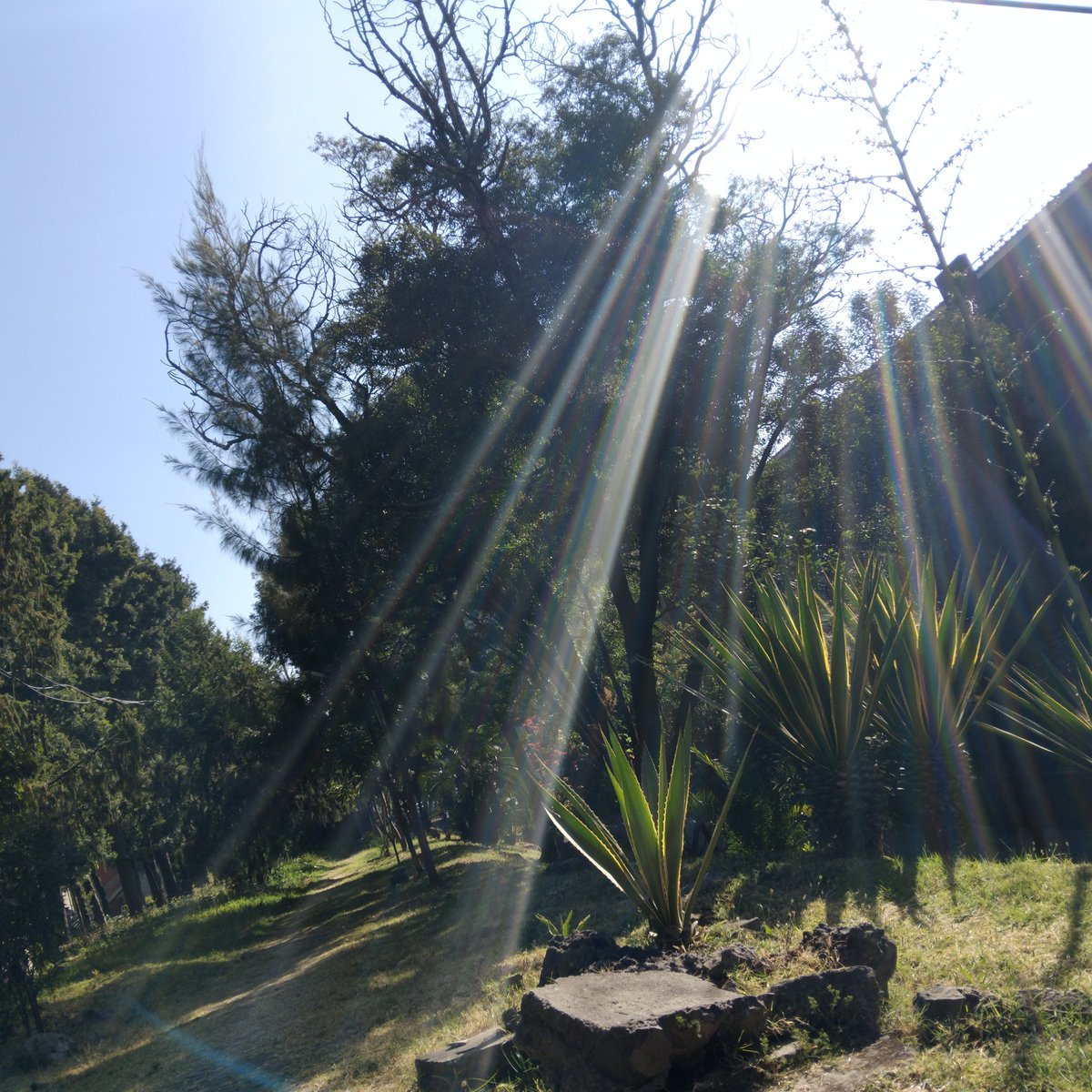 0xInfinity0's tweet image. gm CT